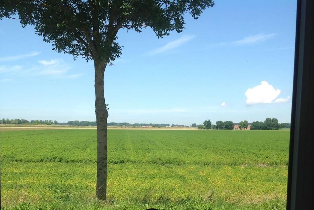 Dijkhuisje Zeeland Waterlandkerkje Exterior foto