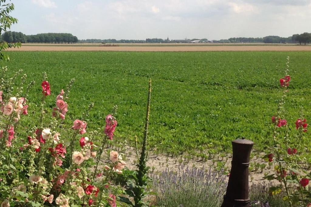 Dijkhuisje Zeeland Waterlandkerkje Exterior foto